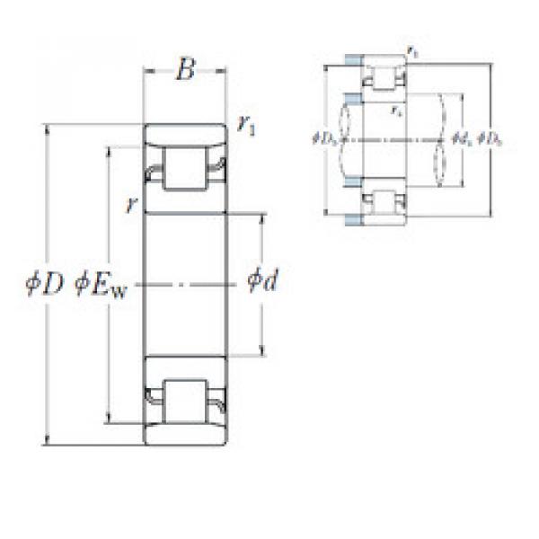 Cylindrical Roller Bearings N 206 NSK #1 image