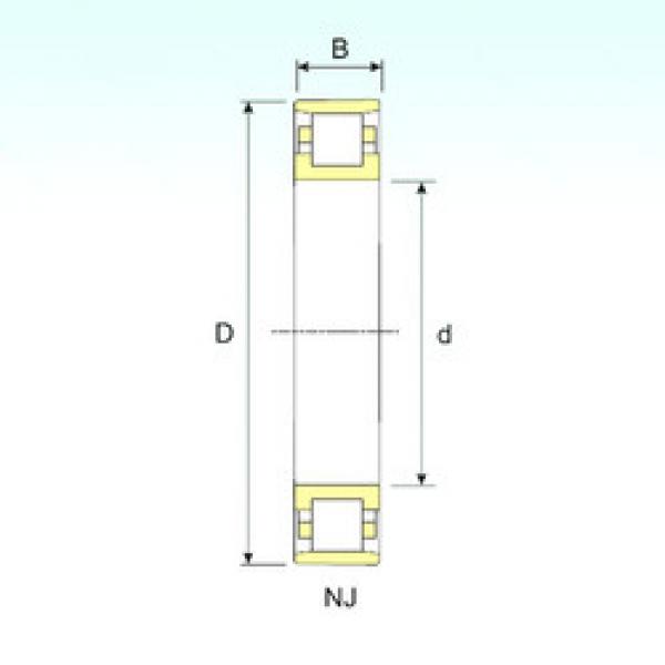 Cylindrical Roller Bearings N 18/1900 ISB #1 image