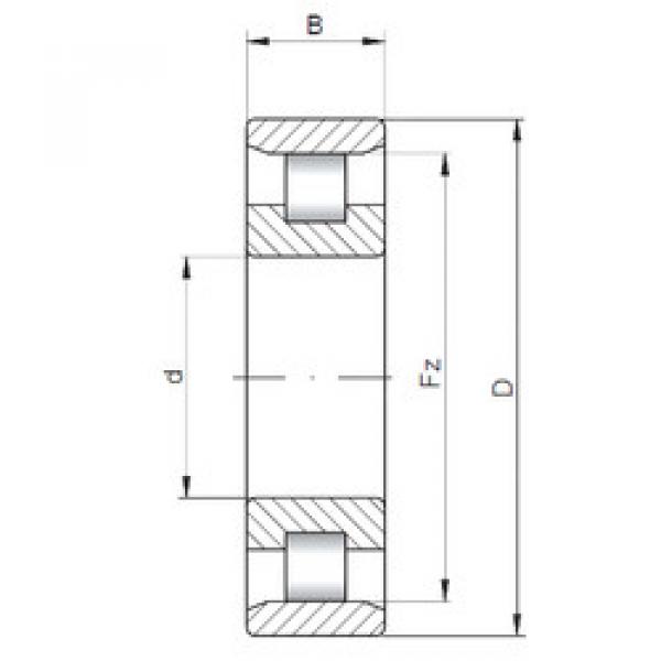 Cylindrical Roller Bearings N10/560 CX #1 image