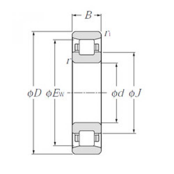 Cylindrical Roller Bearings N1004 CYSD #1 image