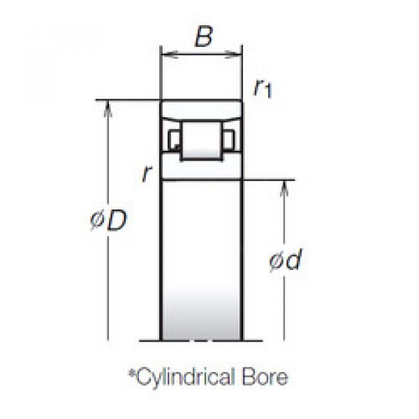 Cylindrical Roller Bearings N1006MR1 NSK #1 image