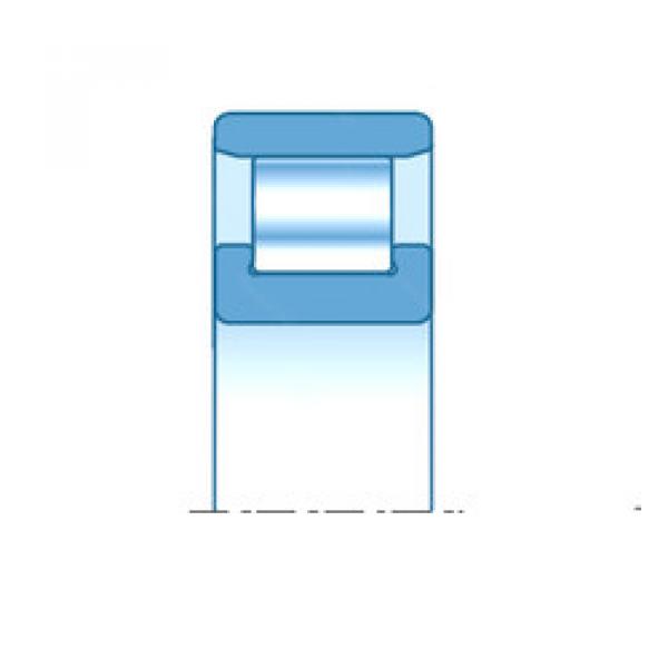 Cylindrical Roller Bearings N204E NTN #1 image