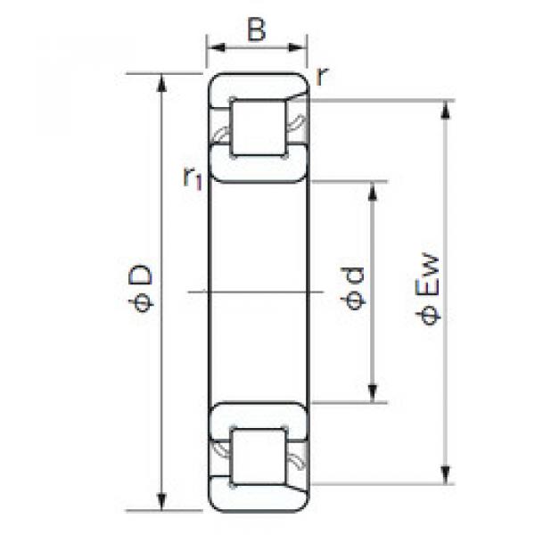 Cylindrical Bearing NF 305 NACHI #1 image