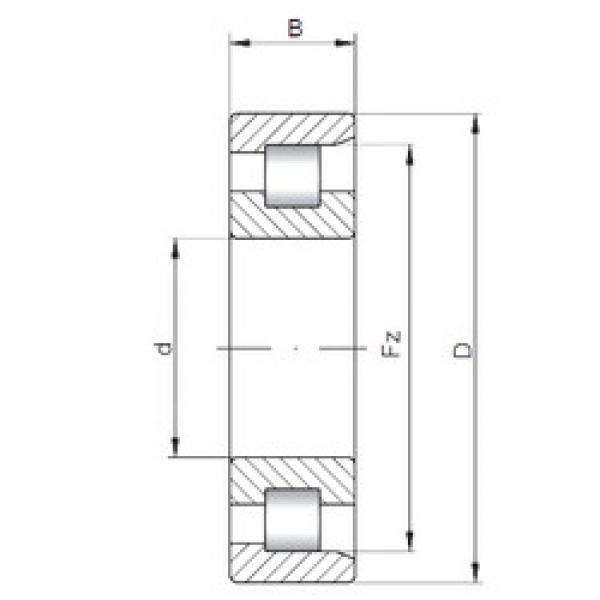 Cylindrical Bearing NF10/500 CX #1 image