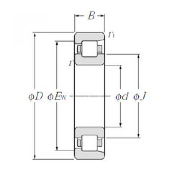 Cylindrical Bearing NF204 CYSD #1 image