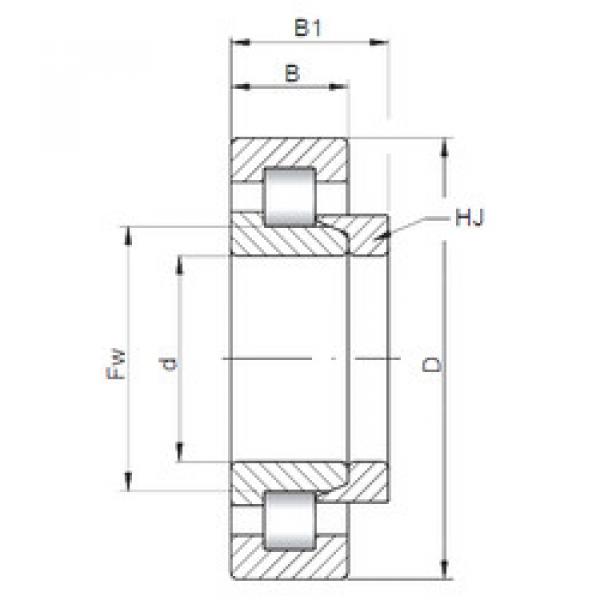 Cylindrical Bearing NH10/500 CX #1 image