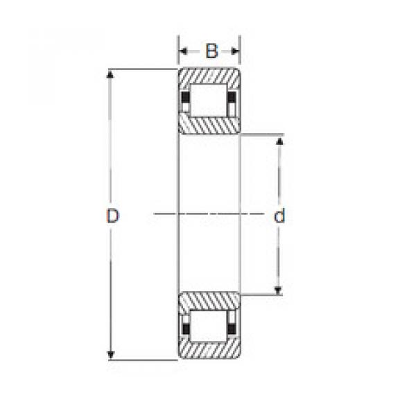 Cylindrical Bearing NJ 206 SIGMA #1 image