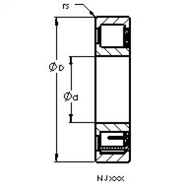 Cylindrical Bearing NJ2310 EMA AST #1 image