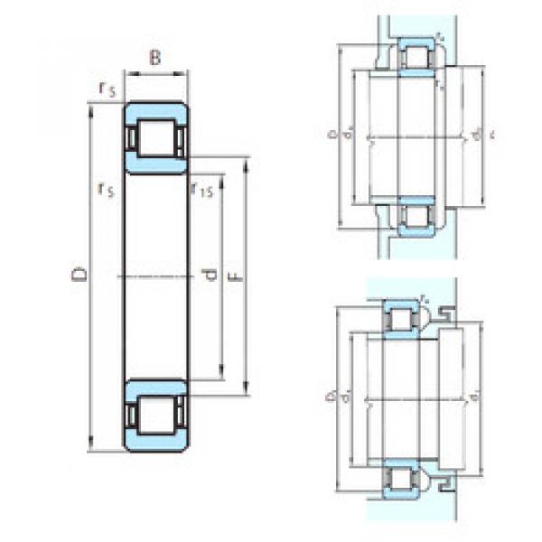 cylindrical bearing nomenclature PSL 412-303 PSL #1 image