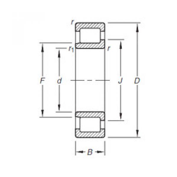 Cylindrical Bearing NJ206E.TVP Timken #1 image