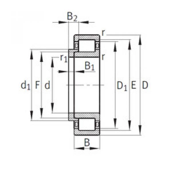 Cylindrical Bearing NJ204+HJ204 CYSD #1 image