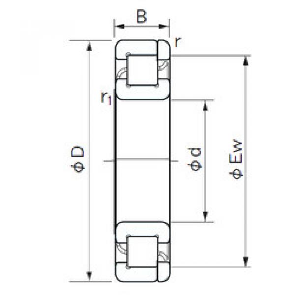 Cylindrical Roller Bearings Distributior NP 1038 NACHI #1 image