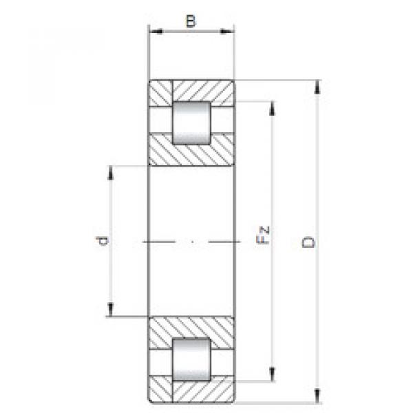 Cylindrical Roller Bearings Distributior NP18/500 CX #1 image