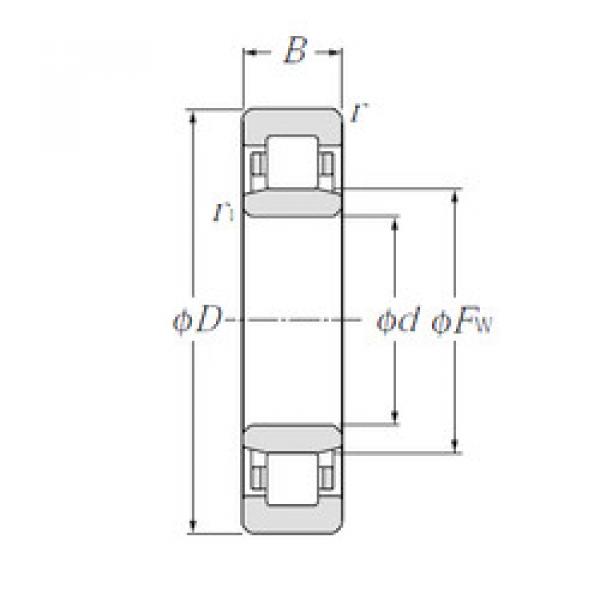 Cylindrical Roller Bearings Distributior NU1006 CYSD #1 image