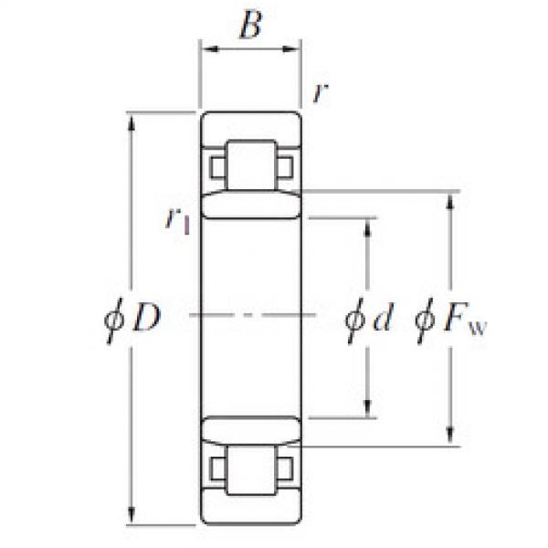 Cylindrical Roller Bearings Distributior NU19/500 KOYO #1 image