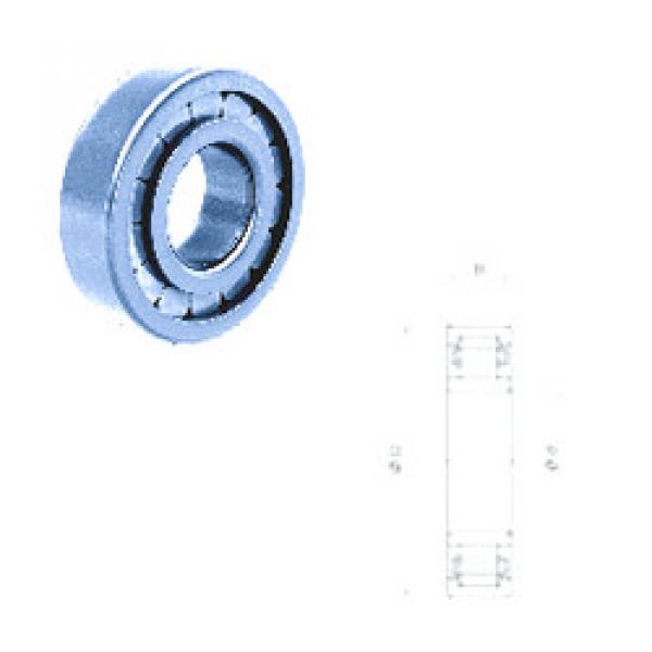 Cylindrical Roller Bearings Distributior NU310FM Fersa #1 image