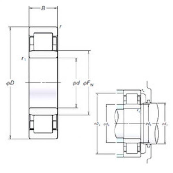 Cylindrical Roller Bearings Distributior NU205EM NSK #1 image