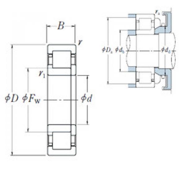 Cylindrical Roller Bearings Distributior NUP 205 EW NSK #1 image