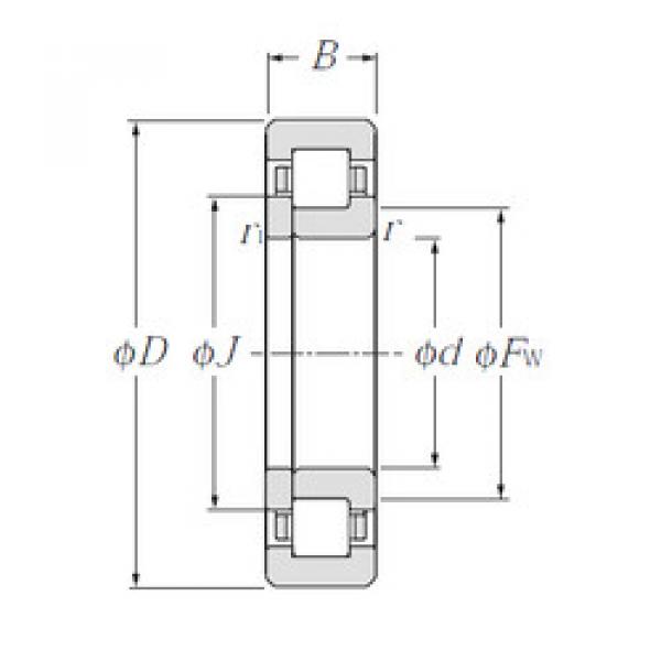 cylindrical bearing nomenclature NUP310 NTN #1 image