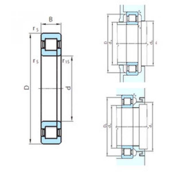 cylindrical bearing nomenclature NUP29/950 PSL #1 image