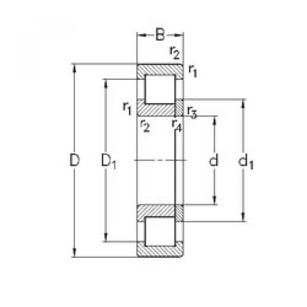 cylindrical bearing nomenclature NUP304-E-TVP3 NKE #1 image