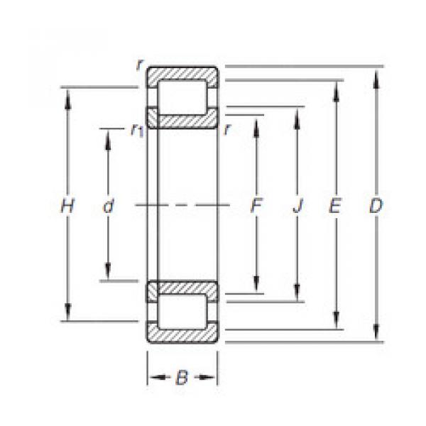 cylindrical bearing nomenclature NUP305E.TVP Timken #1 image