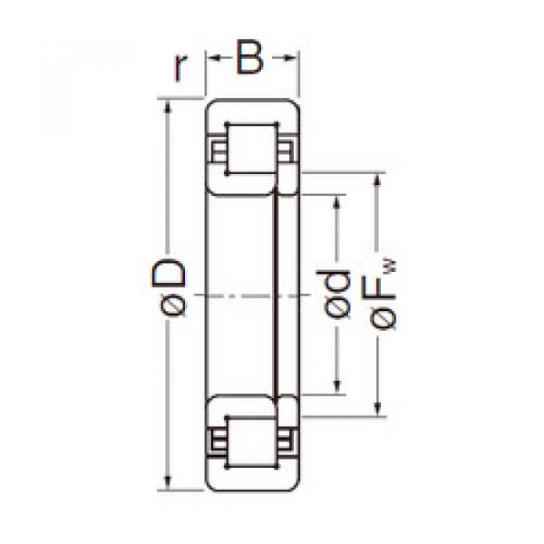 cylindrical bearing nomenclature NUP305EG NACHI #1 image