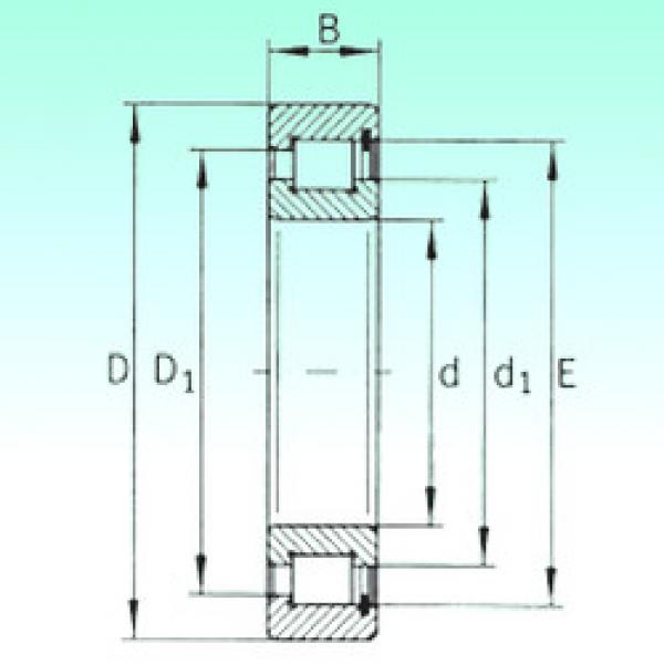 cylindrical bearing nomenclature SL181848 NBS #1 image