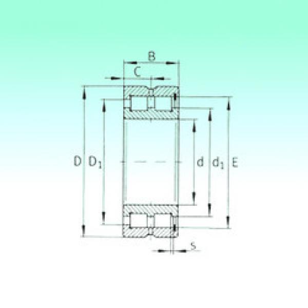 cylindrical bearing nomenclature SL185006 NBS #1 image