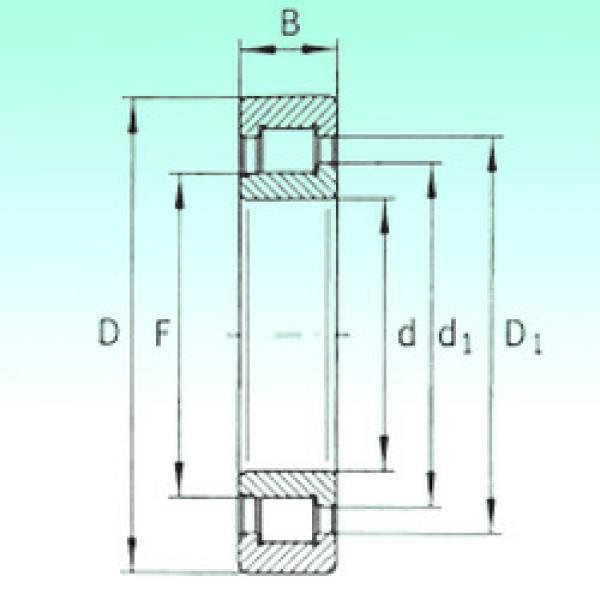 cylindrical bearing nomenclature SL192305 NBS #1 image