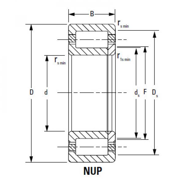 CYLINDRICAL BEARINGS ONE-ROW METRIC ISO SERIES NJ328EMA #1 image