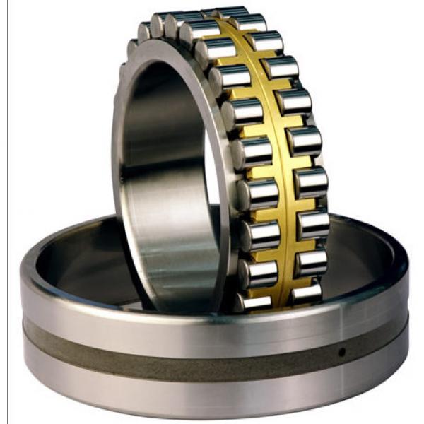 CYLINDRICAL ROLLER BEARINGS TWO Row NNU49/800MAW33 NNU49/630MAW33 #1 image